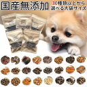 《セット販売》　ドギーマン こだわりミニササミドック (20本)×3個セット ドッグフード 犬用おやつ