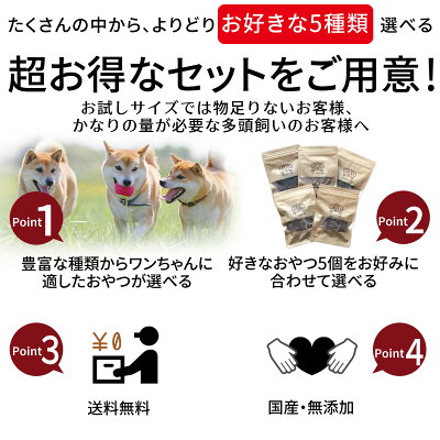 キューブ 5種類 詰め合わせ | 送料無料 犬 おやつ 無添加 どっぐふーどる 国産 さつまいも ジャーキー ペットフード ドッグフード 犬のおやつ ドッグ 犬おやつ ドックフード 犬用品 犬用 犬用おやつ プレゼント ペット オヤツ 犬のえさ - Image 2