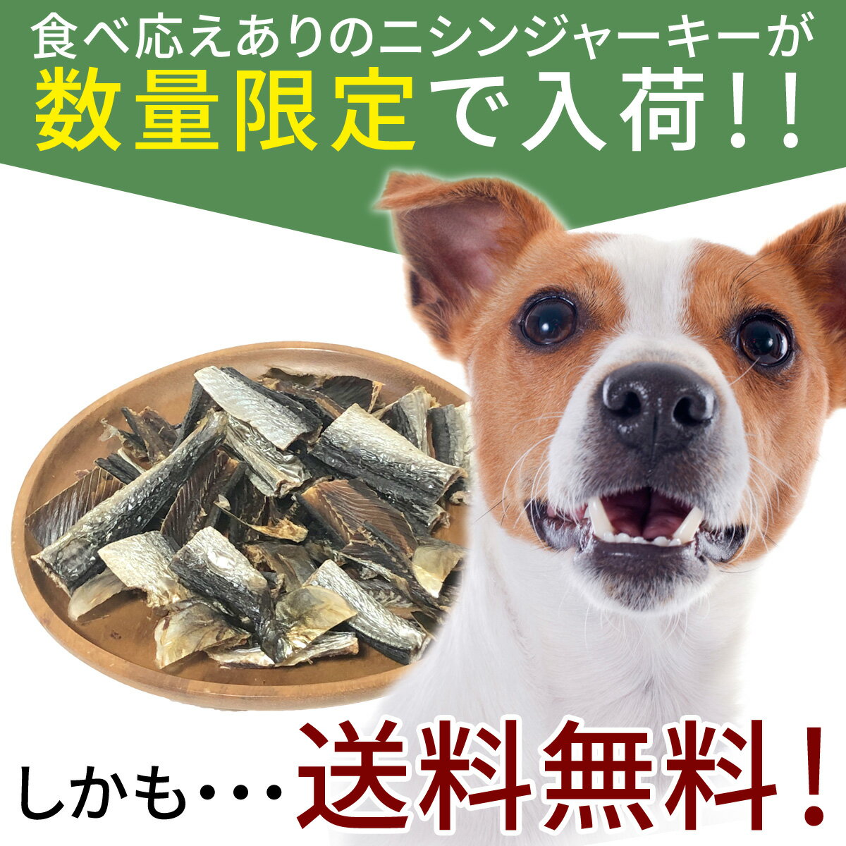 送料無料 ニシンジャーキー|犬 おやつ 無添加 どっぐふーどる 国産 にしん ニシン ジャーキー ドッグフード ペットフード 犬のおやつ ドッグ 犬おやつ 犬用 犬用おやつ オヤツ プレゼント 犬用品 ドックフード フード 3