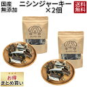 まとめ買い ニシンジャーキー 2個セット|犬 おやつ 魚 無添加 どっぐふーどる 国産 にしん ニシン ジャーキー ドッグフード ペットフード 犬のおやつ ドッ...