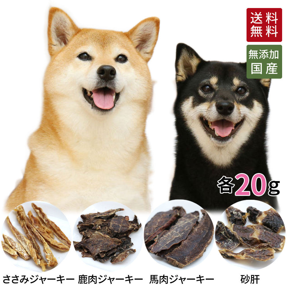 ジャーキー 4種 各20g | 送料無料 犬 おやつ 無添加 どっぐふーどる 詰め合わせ 国産 猫 小分け ギフト セット 個別包装 ささみ 馬肉 鹿肉 砂肝 ペットフード ドッグ ドックフード ドッグフード 犬おやつ 犬のおやつ 犬用おやつ オヤツ 犬用品