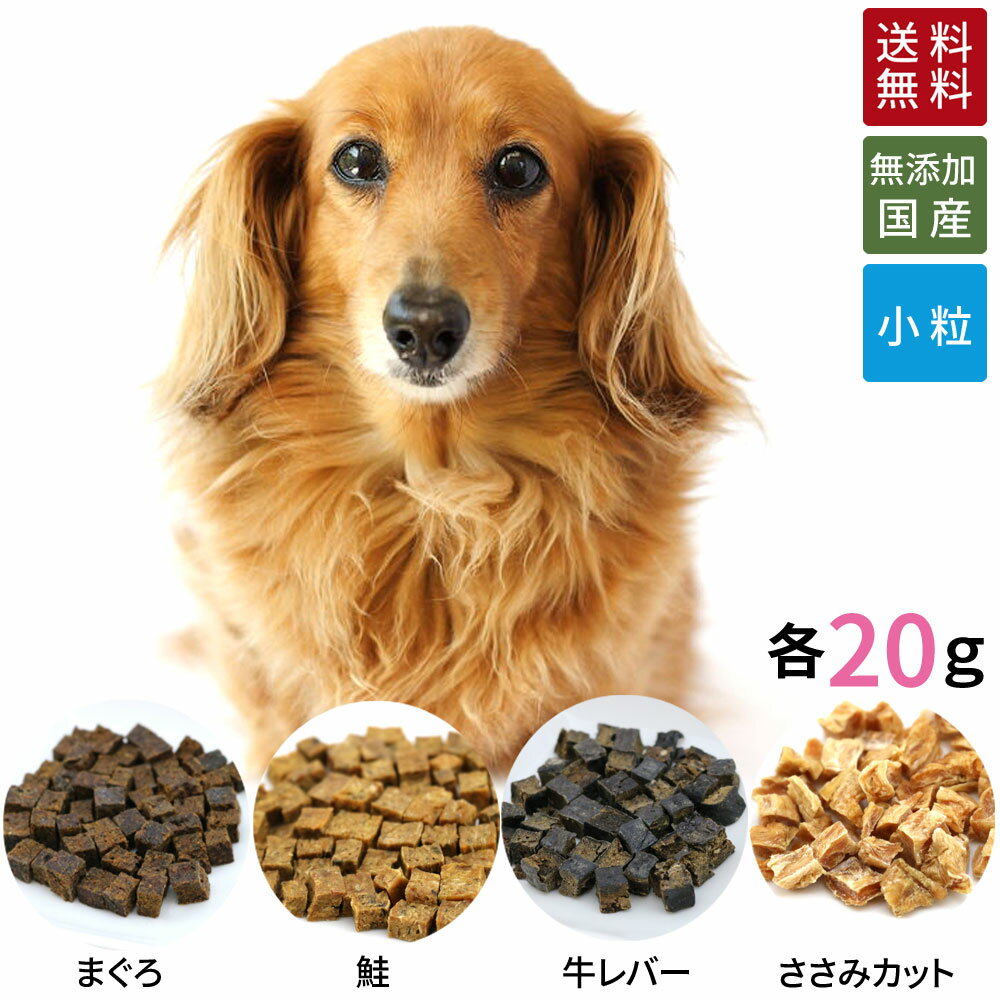 小粒 キューブ 4種 各20g | 送料無料 犬 おやつ 無添加 どっぐふーどる 詰め合わせ 国産 猫 小分け ギフト セット 個別包装 まぐろ 鮭 ささみ ペットフード ドッグ ドックフード ドッグフード 犬おやつ 犬のおやつ アレルギー 犬用おやつ