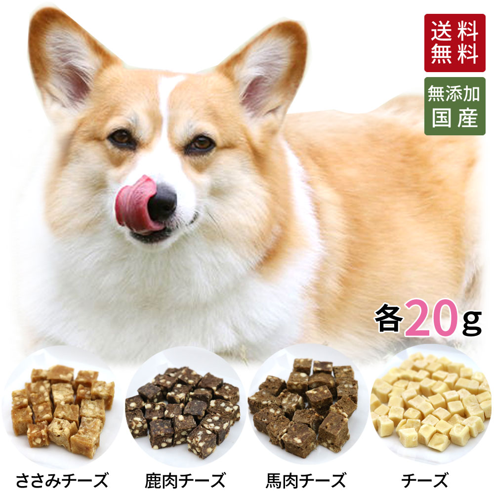 2つの味わいキューブ 小分け 4種 各20g | 送料無料 犬 おやつ 無添加 どっぐふーどる セット 国産 猫 チーズ 鹿肉 さ…