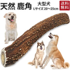 送料無料 犬 おやつ 無添加 鹿の角 ガム おまけ付 | どっぐふーどる 国産 20cm?25cm 鹿角 歯石取り はみがき おもちゃ 犬のおやつ ドック 長持ち 大型犬 ペット 歯磨きガム 歯石 グッズ 犬おやつ 犬用 デンタルケア 鹿 角 犬のガム