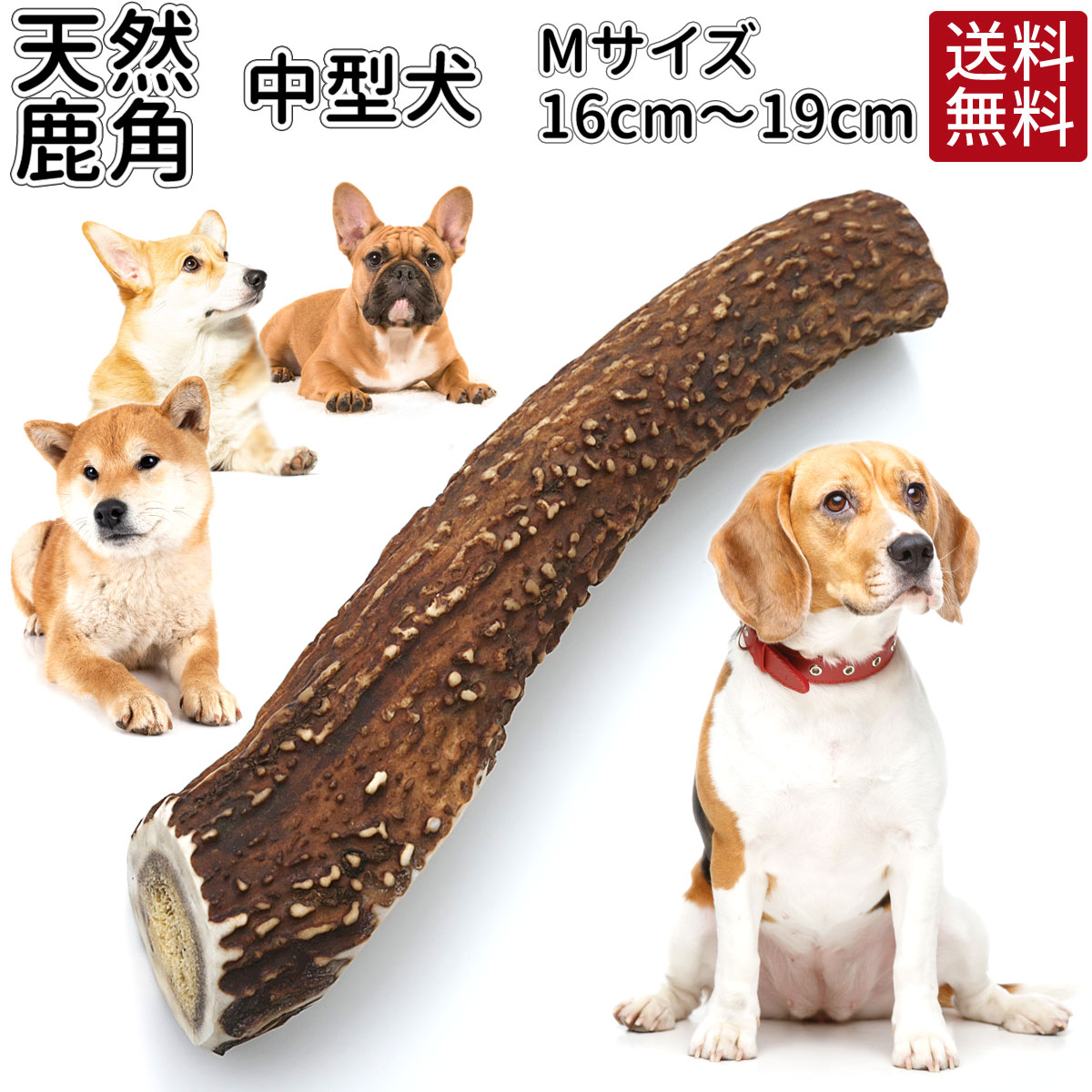 鹿の角 16?19cm ガム おまけ付 | 送料無料 犬 おやつ 無添加 どっぐふーどる 国産 鹿角 口臭予防 歯石取り おもちゃ 犬のおやつ ドックフード 歯磨きガム 歯石 グッズ 犬おやつ デンタルケア 犬のガム はみがき ハミガキ 犬用おやつ