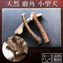 送料無料 犬 おやつ 無添加 鹿の角 ガム|どっぐふーどる 国産 約13cmから16cm 鹿角 鹿 角 歯石取り おもちゃ 小型犬 天然 犬のおやつ 長持ち 歯磨きガム 歯石 ストレス解消 グッズ 犬おやつ デンタルケア 犬のガム 歯みがき 犬用 ツノ