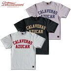 DELUXEWARE デラックスウエア Tシャツ DLT-2103 CALAVERAS 半袖 S-XL 3色 アメカジ メンズ