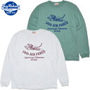 BUZZ RICKSON 039 S バズリクソンズ Tシャツ 長袖 L/S T-SHIRT 14th AIR FORDE BR69341