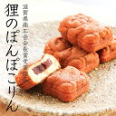 うずくまる本舗 狸のぽんぽこりん16個入 饅頭 こし餡 カステラ 和菓子 お取り寄せ グルメ 2