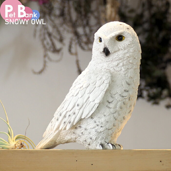 Rakuten - 【スーパーSALE割引商品】PET BANK シロフクロウ 貯金箱 インテリア 置き物 かわいい 動物 ペット JAZA寄付 SNOWY OWL magnet マグネット