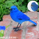 ブルーバード 青い鳥 鳥 インテリア 置き物 BLUE BIRD 文具 マグネット