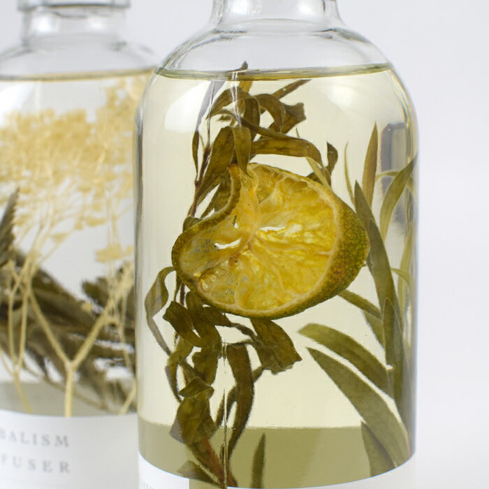 �ϡ��Хꥦ�� �ǥ��ե塼���� ������ ŷ�� �꡼���դ� ���ե� ������ ������ magnet