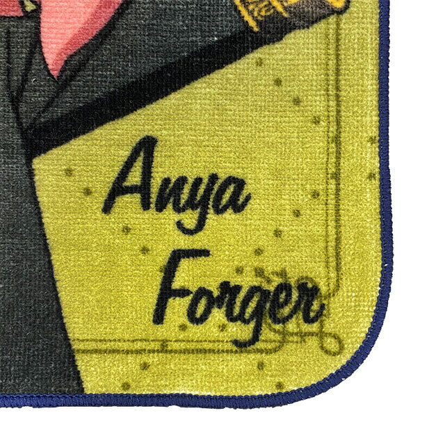 ホテルタイプ プレミアム高吸水 バスタオル2P L8040040