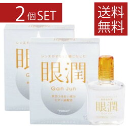 ハードレンズ用装着液 東レ 眼潤 (12ml)×2個　コンタクトケア　2本セット