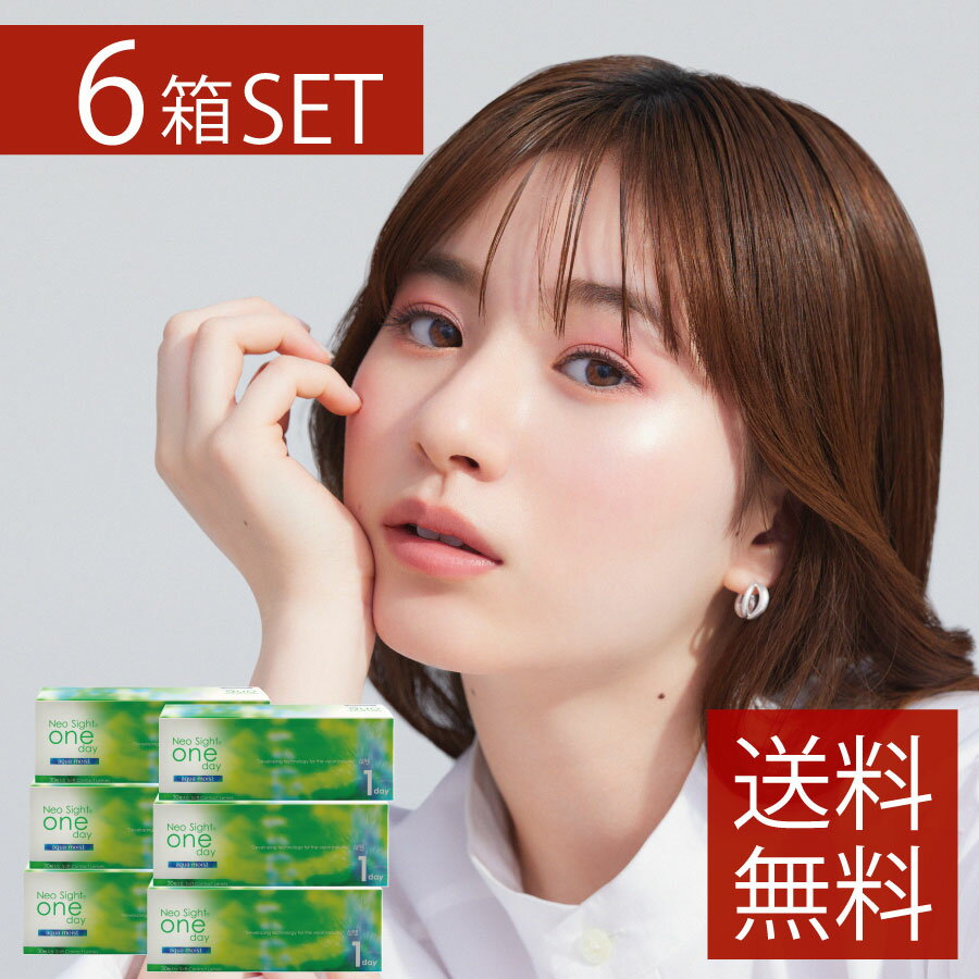 ポイント20倍！送料無料ネオサイトワンデーアクアモイスト【30枚入】×6箱　【アイレ】【新商品】