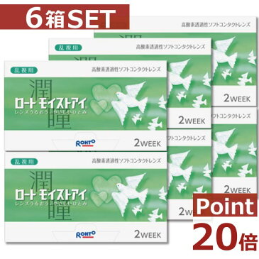 【ポイント20倍】【ロート】 モイストアイ乱視用×6箱【2ウィーク】【2WEEK】【送料無料】【シリコン】【ロートモイストアイ乱視用】【YDKG-kj】