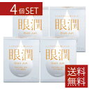 ハードレンズ用装着液 東レ 眼潤 (12ml)×4個セット 4本セット コンタクトケア