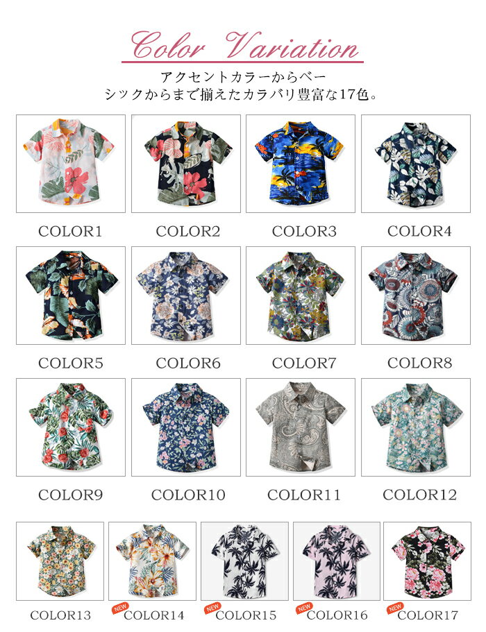 �ڿ���/¨Ǽ����ۥ����ϥ���� �ƻ� �ڥ���å� �ƻҥڥ� �����ϥ���� �ƻҥ����� ��󥯥����� �ƻ� ���å� ��ǥ����� ��� ���å� ��·�� �֤���� �٥ӡ� �ˤλ� ���λ� �ڥ�t����� �ƻ� �ץ쥼��� ��󥯥����� �ƻ� ���å�