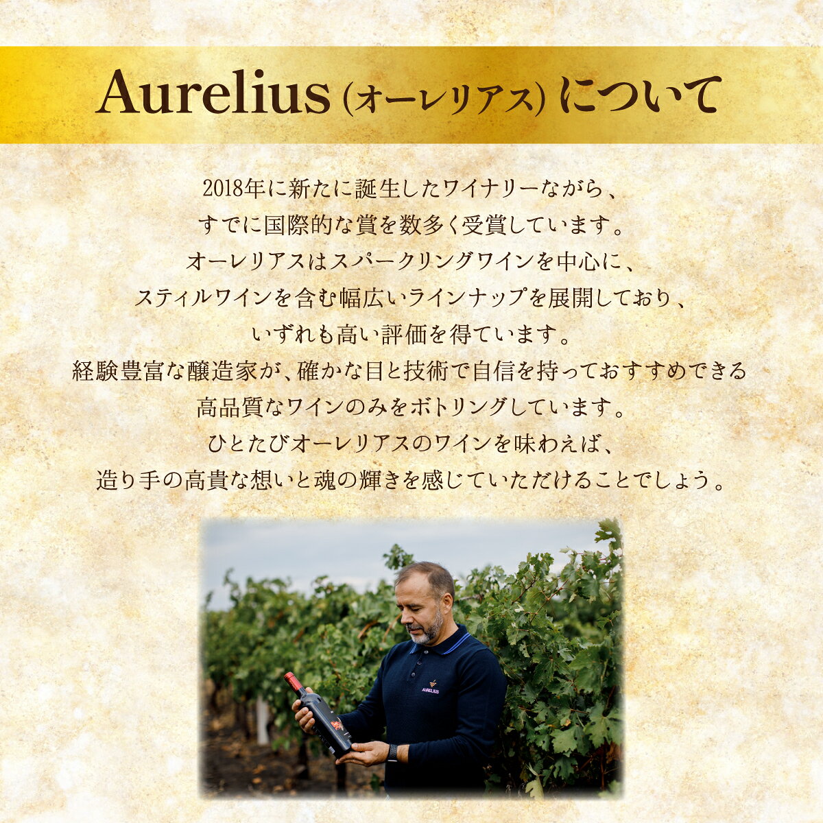 こだわりの国産品と海外輸入品の店のオーレリアス ブリュット ロゼ Aurelius Brut Rose 750ml スパークリングワイン 辛口 モルドバ モルドバワイン｜アングル2