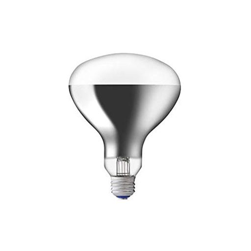 散光形 100W形 定格電圧(V):220 定格消費電力(W):90 ガラス球形式:R120 軸光度(cd):400 定格寿命(時間):2000 全光束(lm):7000 金口:E26