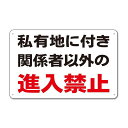 【私有地関係者以外進入禁止看板】標示注意禁止警告通り抜け禁止私有地につき私道立ち入り禁止立入禁止進入禁止防犯カメラ作動中監視カメラ敷地内