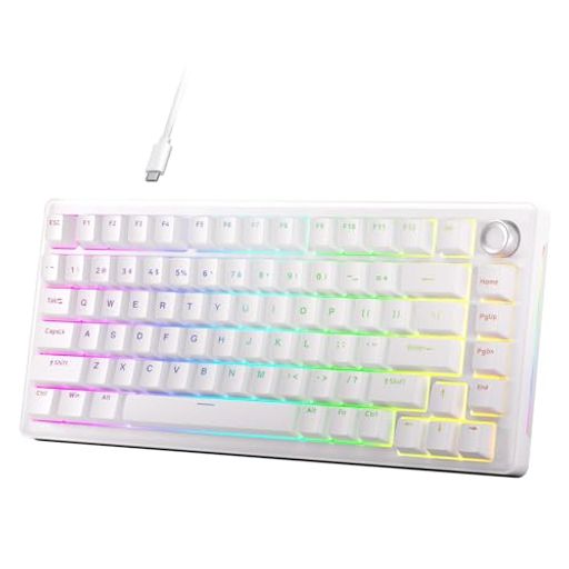 DIERYA DK81E ゲーミングキーボード ガスケットマウント構造|メカニカルキーボード 有線 ボリュームノブ搭載|RGBバックライト|ホットスワップ対応クリームスイッチ|ゲーミングキーボード 75%…