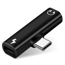 TOPAMZ TYPE C TO 3.5MM イヤホン 変換アダプター 2IN1 【音楽聞きながら充電でき】タイプC イヤホン 変換ケーブル DAC搭載 PD急速充電 T型 直挿しタ タイプ ミニサイズ USB C イヤホンジャックアダプター(2)