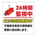 【私有地24時間監視中通り抜け禁止私有地につき私道立ち入り禁止立入禁止進入禁止防犯カメラ作動中監視カメラ敷地内関係者外看板】屋外防水プレート板プレート看板プレートタイ表示…