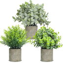 T4Uフェイクグリーン観葉植物フェイク小さい室内3個セットインテリアプレゼント