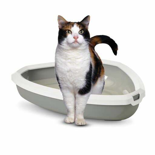 SAVICリンコンホワイト/グレーSV2017WG