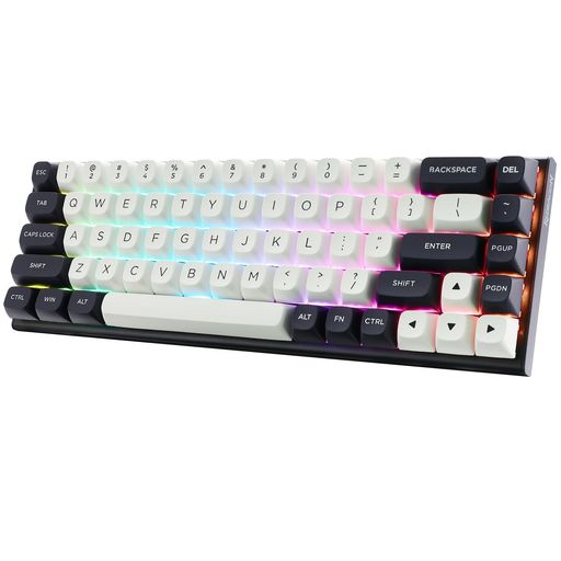 Redragon K701 0.01mm ラピッドトリガー対応 ゲーミングキーボード 有線 60% テン...