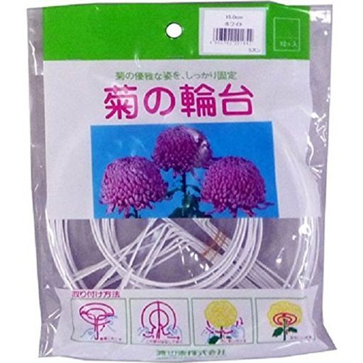 乐天商城 - 渡辺泰 菊の輪台 白 15.0cm 10個入