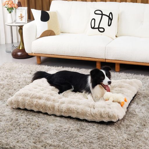 墊子 - BingoPaw犬用ベッド大型犬中型犬快適耐久性通気性防水洗えるベージュペットベッドクッション冬噛んでも破れないマット通年