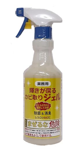 ̳ѥӼꥸ뵱