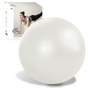 アルインコ(ALINCO) バランスボール 直径65CM 椅子 スツール 軽量 空気入れ付き 運動マニュアル付き ストレッチ フィットネス ヨガ エクササイズ ...