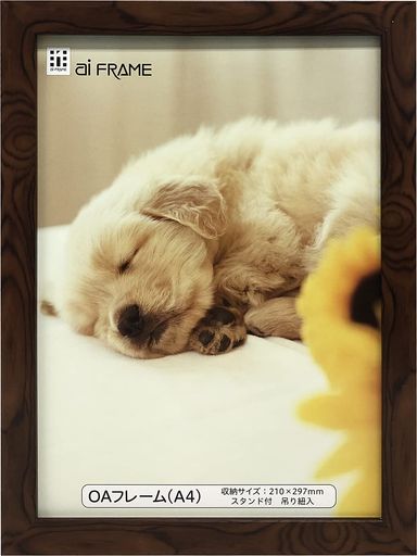 �C���^�z��OA�t���[���������u���E��A4JOA-A4-BR