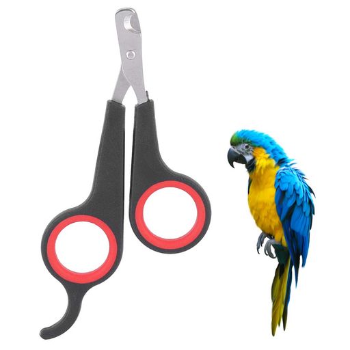 耐久性:鳥の爪切り錆や腐食に強く、丈夫で耐久性のあるステンレス鋼を採用 快適に使用できます:この鳥の爪切りは、快適で握りやすく、滑りにくく、信頼性が高く使用できます 必須ツール:ペットの鳥のグルーミングに便利な、鳥かごの必須アクセサリーの ...