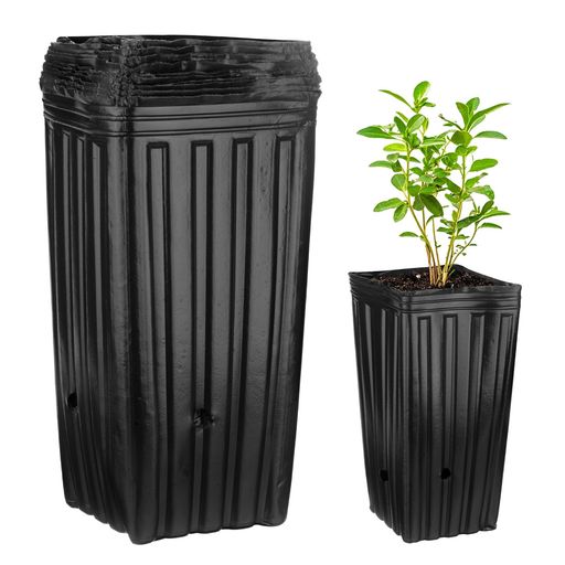 M METERXITY 20個セット 育苗ポット 6.3x6.3x12.6” プラスチック深型育苗ポット 多肉植物プランター 花・樹木用ポット 排水穴付き 屋内・屋外園芸用 [黒色]
