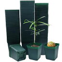 RooTrimmer育苗ポット8cm100個入り正方形苗ポット、植木鉢プラスチック多肉植物鉢、プラ鉢種蒔きポット、育苗用ポリポットダークグリーン