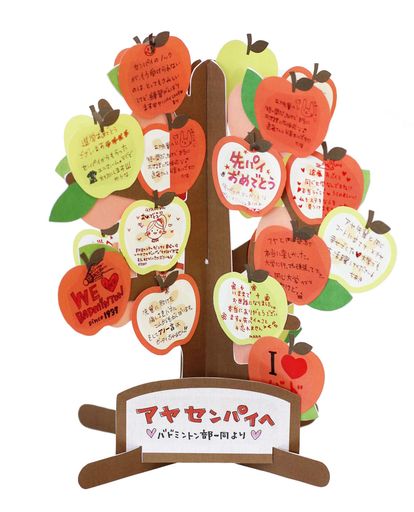 �ե륿�å���å������ĥ꡼3���H25xW23xD23cmAR0819103��å�