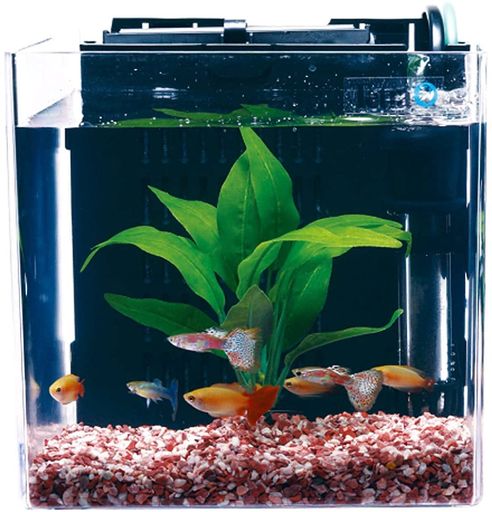 テトラ(Tetra)スマート熱帯魚飼育セットSP-17TF(水槽容量5L)水槽アクアリウムサカナ