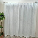 カエイレース(Kaei-lace)日本製抗菌防臭加工ミラーレースカーテン帝人フロンティア(株)特殊機能糸エコリエ北欧調幅130cmx丈108cmホワイト2枚組