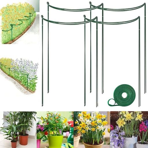 Rakuten - KYDFYER 植物支柱 園芸支柱 4点セット 35*20cm 花ささえ 植物サポート 観葉 つる性 誘引 簡単設置 花支え 支柱棚 ガーデニング フラワー/野菜用/園芸用/農業用 (4点セット, 35*20cm)