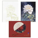 PAUL RUBENS 水彩画塗り絵、バラのテーマ12枚、綿100%、無酸性300G、260 X 180MM、大人用、学生用ホットプレス水彩画本