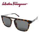 Tog[tFK Salvatore Ferragamo TOX fB[X [SF879S 213]