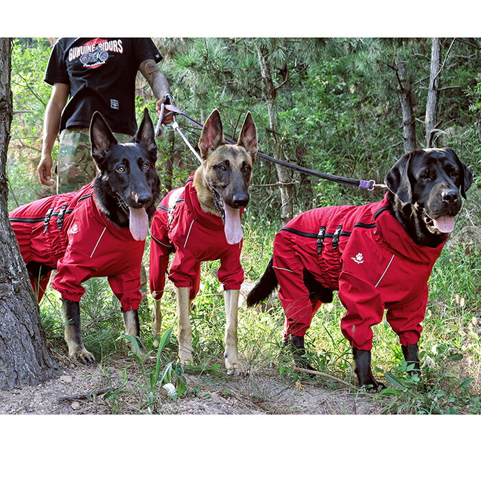 犬レインコート 犬用 レインコート 犬 レインコート 小型犬 中型犬 レインポンチョ レインウェア ハーネス ポンチョ 犬の服 カッパ 犬服 雨 透湿 撥水 犬用 雨具 反射テープ付き OG-05 3