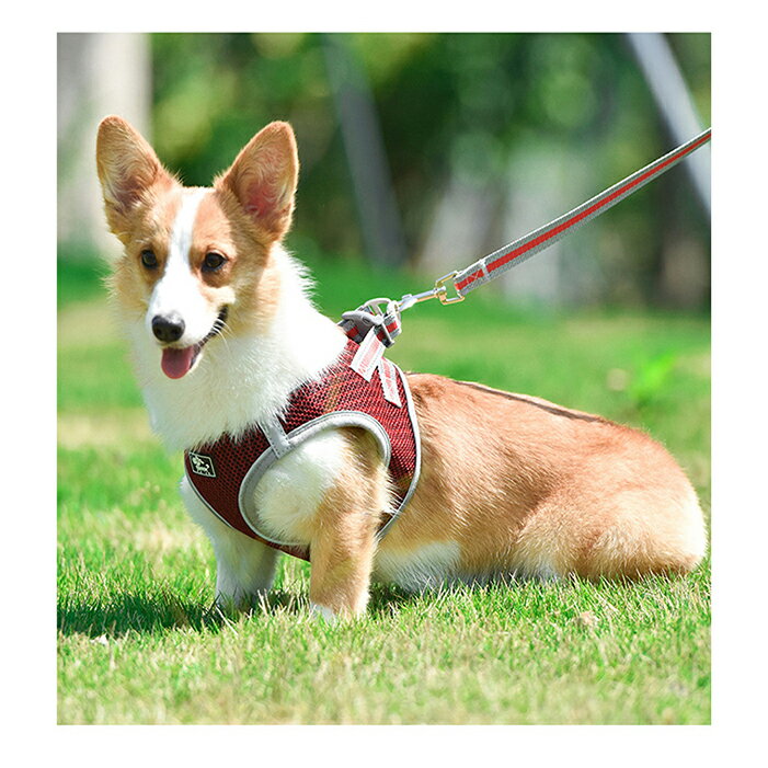 アウトレット 在庫処分 犬 猫 ハーネス 小型犬 中型犬 猫用 ネコ ウェアハーネス ハーネス&リードセット 犬ハーネス 抜けない 一体型 かわいい 簡単着脱 調節可能 引っ張り防止 咳き込み軽減 散歩 出かけ用 反射材料 安全 通気 TA-02