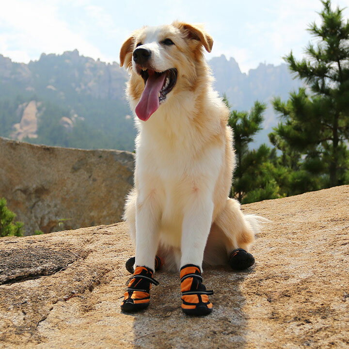 犬 靴 犬靴 犬の靴 ドッグシューズ ロング プロテクション シューズ ソフト 保護 防水 スポーツ 介護 足 怪我 シニア ケア 中型犬 大型犬 メール便送料無料 4個セット OG-K728