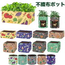 不織布ポット 植え袋 花鉢 布袋 布鉢 植木鉢 野菜栽培袋 園芸バッグ 丸形 軽量 軽い 不織布 ポット プランター 不織布 植え替え鉢 カラフル おしゃれ 図柄 花柄鉢 フェルト製 家庭菜園 折りたたみプランター フェルトプランター 発育促進 2層構造 根域制御 BLO-01