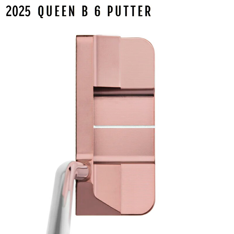 �٥ƥ��ʥ�ǥ�(BETTINARDI) 2025 ��������B 6 (QUEEN B 6) �ѥ��� ���� QB6 SPUD US��ǥ�